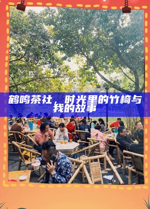 鹤鸣茶社，时光里的竹椅与我的故事