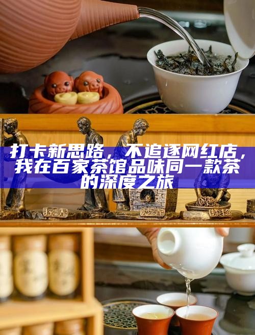 打卡新思路，不追逐网红店，我在百家茶馆品味同一款茶的深度之旅