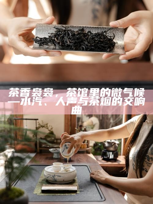 深圳女子的茶，温柔外壳下的坚韧之旅